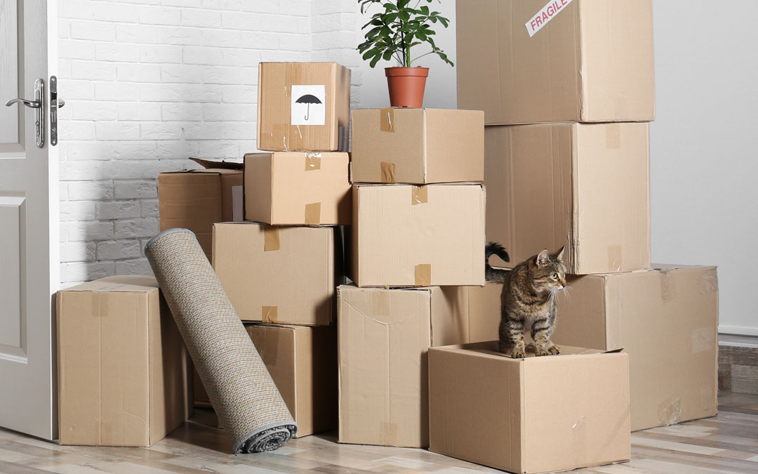 The 4 Ps of Moving House & Home Right - The Packaging Company