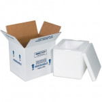 Insulated Shipping Kits, 8 x 6 x 10