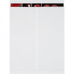 Jumbo Envelopes, White, 22 x 27