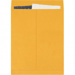 Jumbo Envelopes, Kraft, 16 x 20