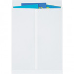 Jumbo Envelopes, White, 17 x 22