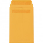 Redi-Seal Envelopes, Kraft, 6 x 9