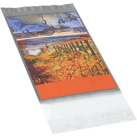 Poly Mailers, Clear View, 5 x 7"