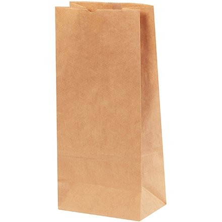 Kraft Paper Merchandise Bags, #6 - 6 1/4 x 9 1/4"