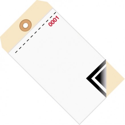 Inventory Tags - 3-Part Carbon Style with Adhesive Strip (0000-0499), 6 1/4 x 3 1/8"