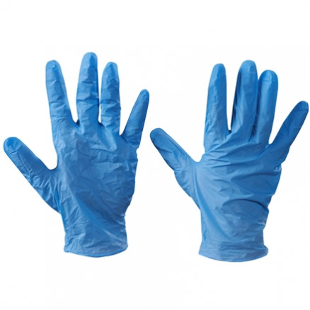 Powdered Vinyl Gloves - Blue - 5 Mil - Large