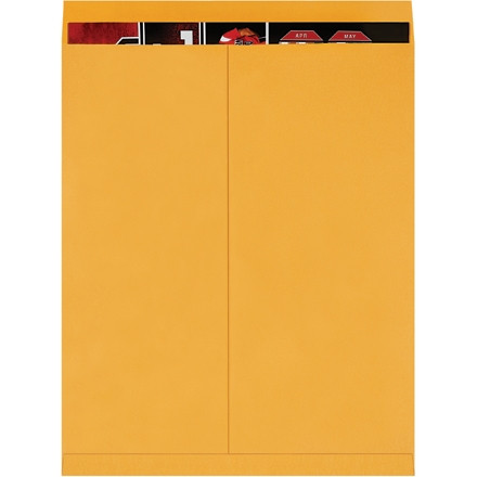 Jumbo Envelopes, Kraft, 22 x 27"