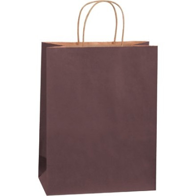 Brown Tinted Paper Shopping Bags, 10 x 5 x 13