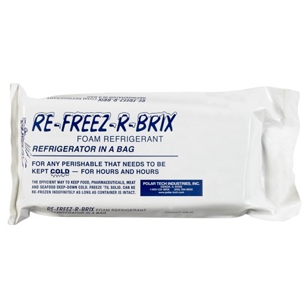 Re-Freez-R-Brix ™ 31 oz Briques Froides - 9 X 4 X 1 1/2 "